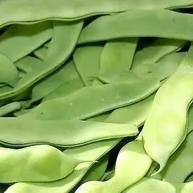 1460601066684635.jpg 1460600350129564.jpg