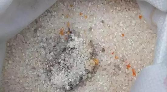 1462244313137675.jpg 15972561_550x550_0.jpg