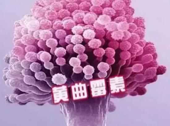 1462244571123204.jpg 15972559_550x550_0.jpg