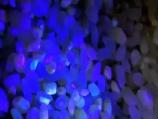 1462244590112059.jpg 15972554_550x550_0.jpg