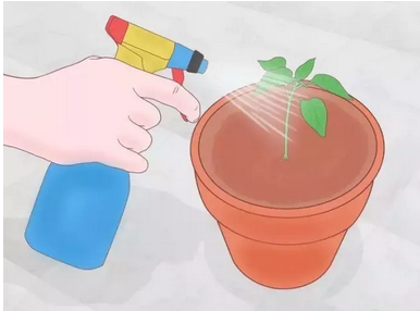 1463716891865067.png 1463716880977165.png