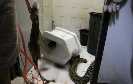 1464517074140830.jpg 640 (4).jpg