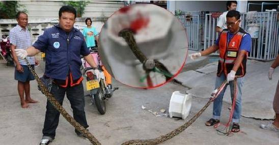 1464517110133187.jpg 640 (6).jpg