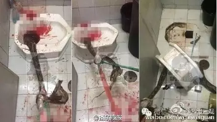 1464592591962879.png 1464592575990118.png