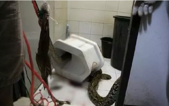 1464592619126083.png 1464592606121483.png