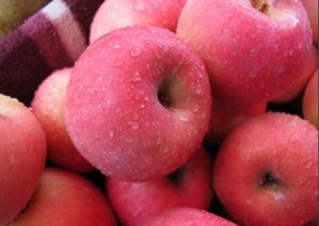 1464763146130541.png blob.png