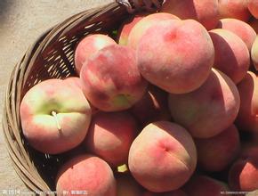 1464763326121947.jpg u=652729877,1202275372&fm=21&gp=0.jpg