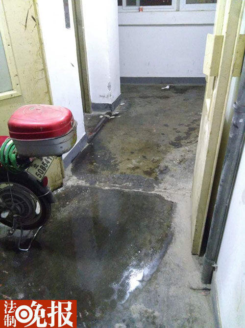 1465346804957198.jpg 10.jpg