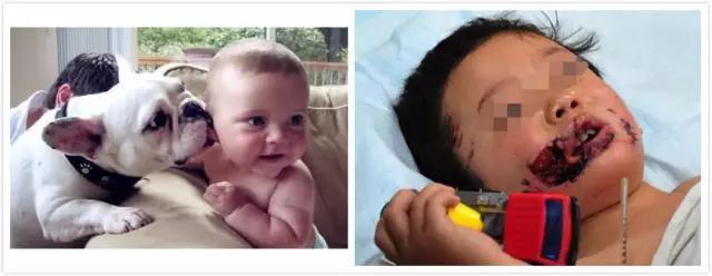 1465899122134435.jpg 5.jpg