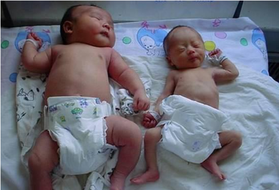 1465976476733605.png 1465976057116758.png