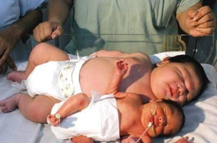 1465976495872426.png 1465976206802843.png