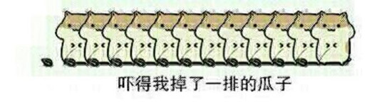 1466060905103809.jpg 1466060646119877.jpg