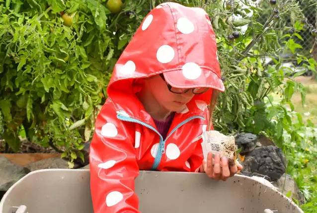 1472624470114180.jpg 640 (9).jpg