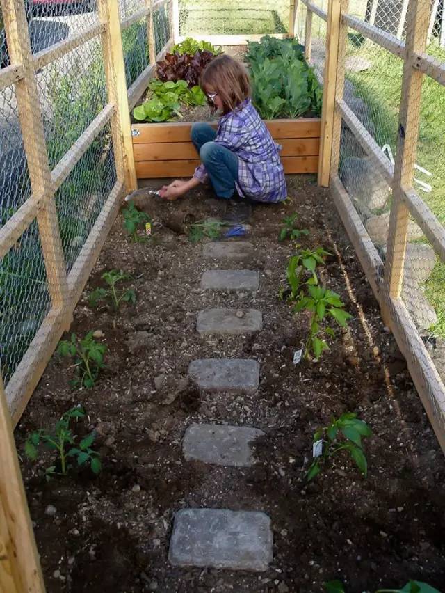 1472624498139225.jpg 640 (11).jpg