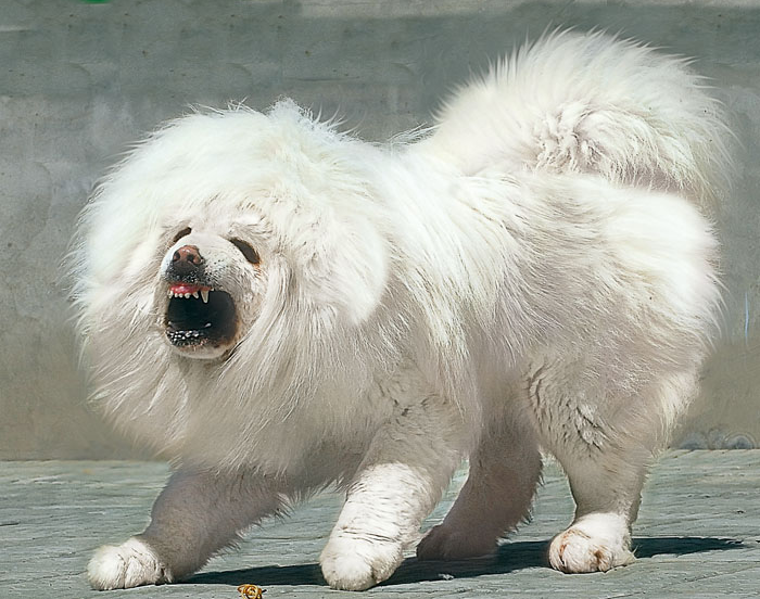 1477472902110591.png QQ截圖20161026170712.png