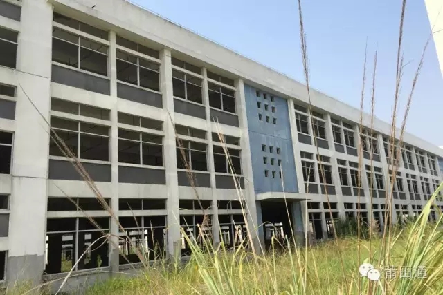 1477474125306171.jpg 640.webp (1).jpg