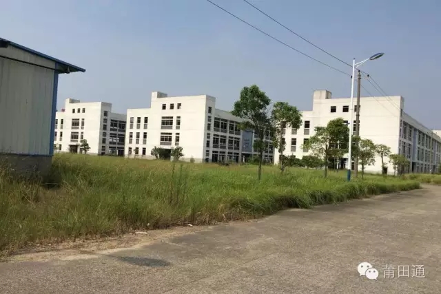 1477474131294724.jpg 640.webp (2).jpg