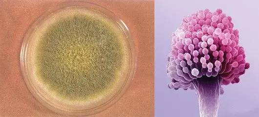 1477730725270885.jpg 640.jpg