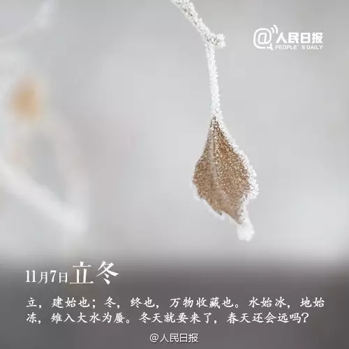 1478078516663550.jpg 640.webp (1).jpg