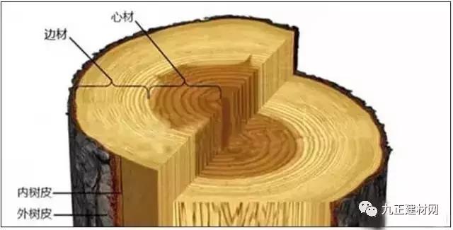 1482799999568880.jpg 432797b.jpg