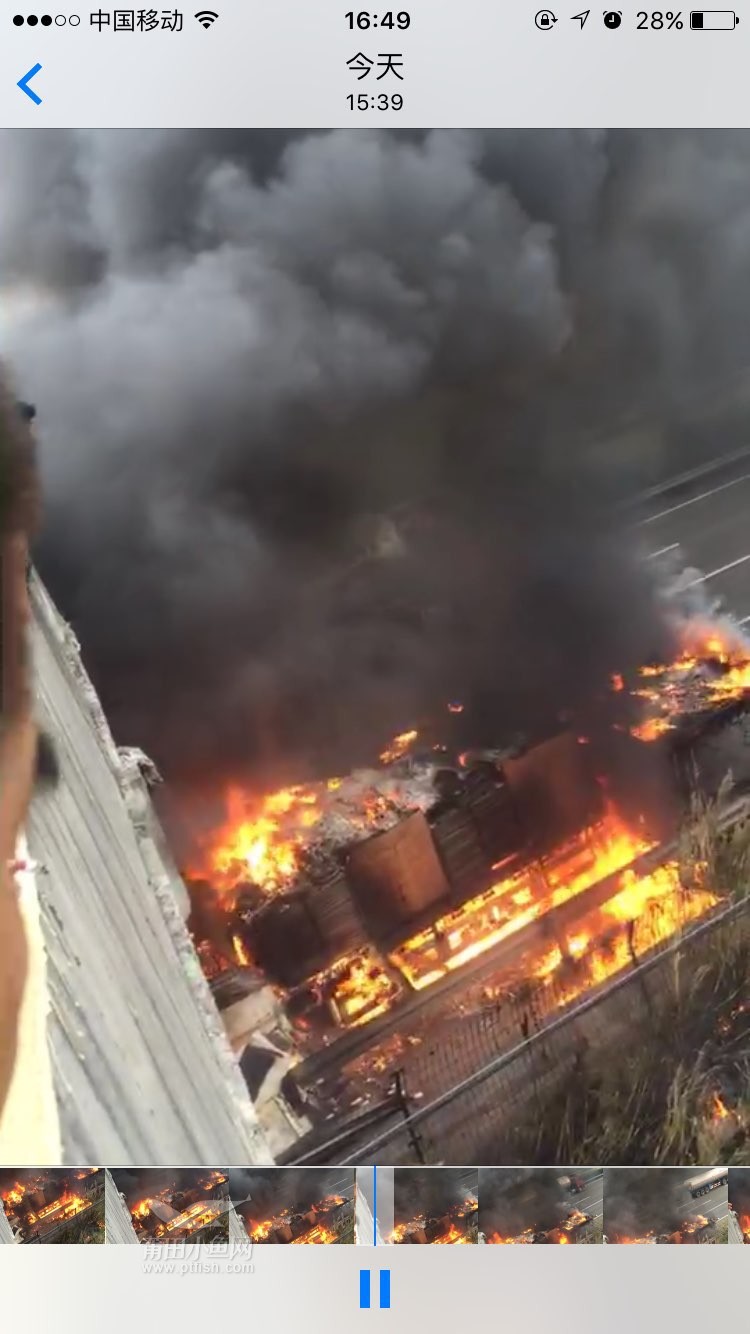 1484442135888262.jpg 17.jpg