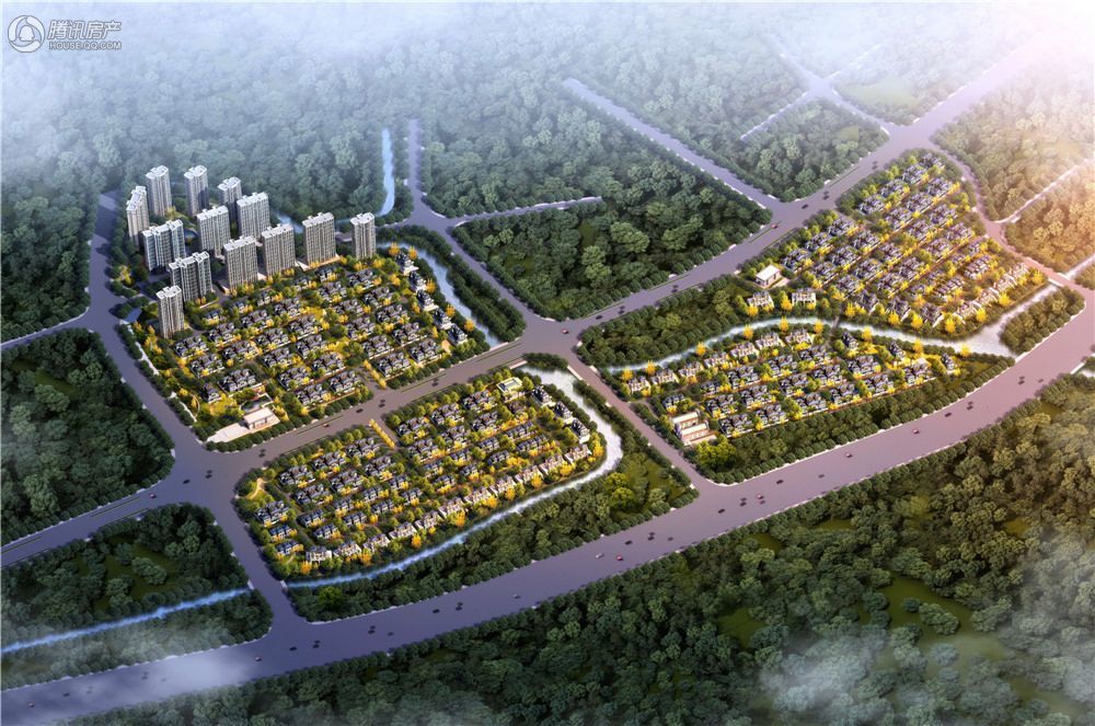 1484700775122558.jpg 2.jpg