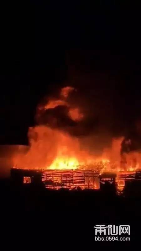 1486537492858570.jpg 2.jpg