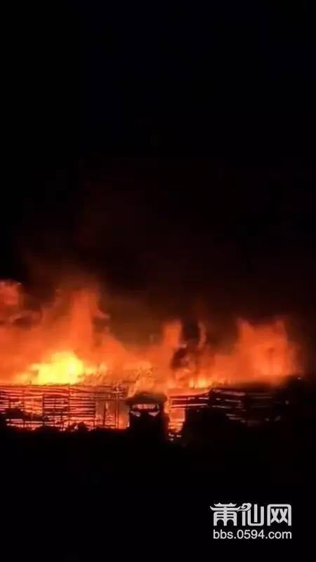 1486537497121100.jpg 3.jpg