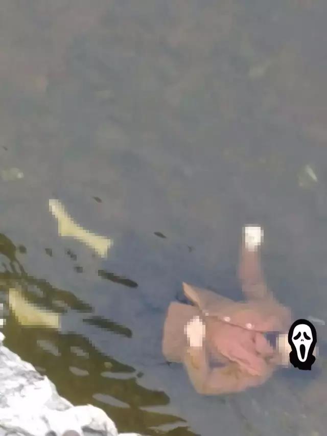 1486946375398646.jpg 1.jpg