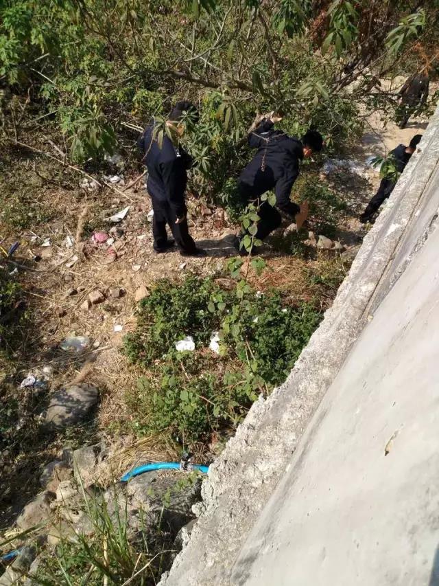 1486946380861238.jpg 2.jpg