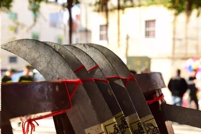 1487205643821476.jpg 3.jpg