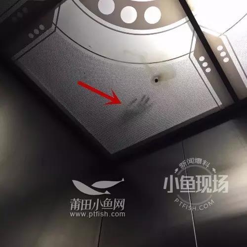 1487315254376528.jpg 1.jpg