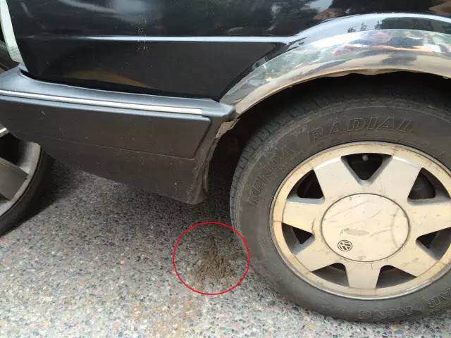 1487982624722503.jpg 8.jpg