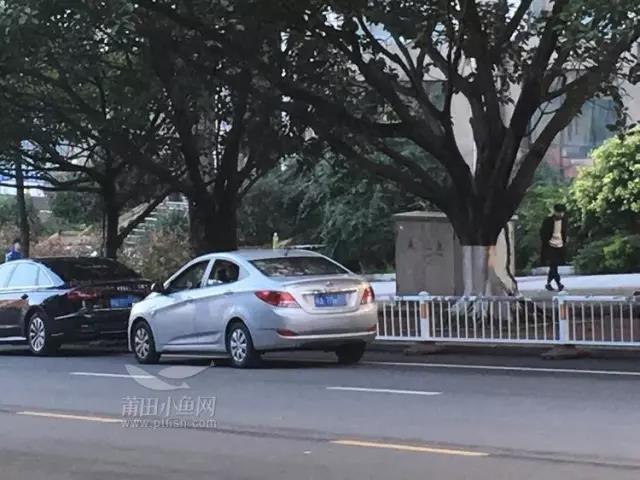 1487990497427176.jpg 1.jpg