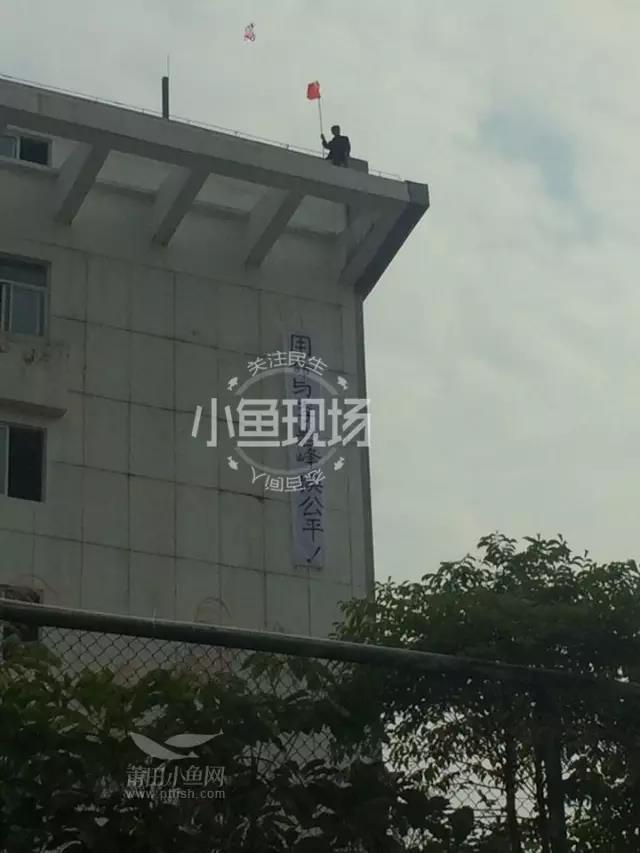 1488415997910681.jpg 5.jpg