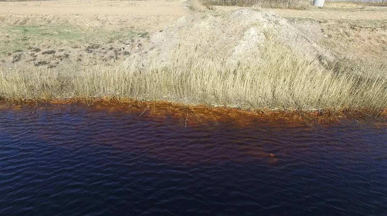 1493943596137357.jpg 10.jpg